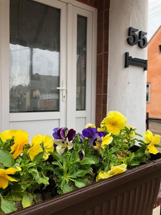 Krin Apartman Subotica Dış mekan fotoğraf